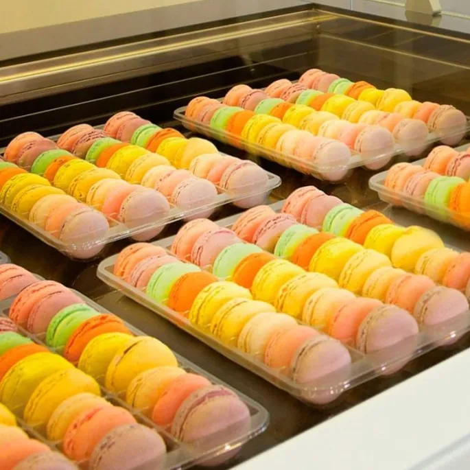 Alveolos de plástico para 36 macarons (2)