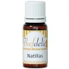 Aroma de natillas 10 ml - Sin gluten - Chefdelíce