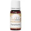 Aroma de panettone 10 ml - Sin gluten - Chefdelíce