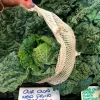 Bolsas para la compra de rejilla (3) - Algodón orgánico - A Slice of Green