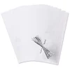 Bolsas transparentes con lacito (25) - Wilton