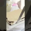 Bombones mini magdalenas de chocolate con leche (200 uds) - Eichetti