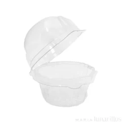 Cajas de plástico para 1 cupcake (10)