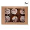 Cajas para 6 cupcakes y 12 mini cupcakes kraft con ventana 24,5 x 16,5 x 9,5 cm (3)