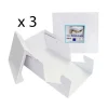 Cajas para tartas cuadradas con tapa 30,5 x 30,5 x 15 cm (3) - PME