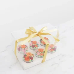 Caja transparente con base, tapa y lazo Crystal 6 cupcakes 27 x 18 x 14 cm - PME