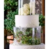 Cilindros transparentes para decoraciones de tarta (3) - Modecor