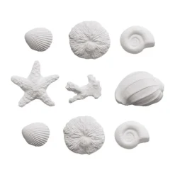 Conchas de mar de azúcar (9) - Decora