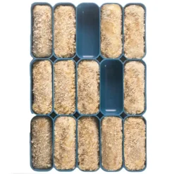 Contenedor para congelar y conservar croquetas - Ibili