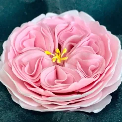 Cortadores tappit flor rosa inglesa (3) - FMM