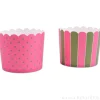 Cápsulas rígidas grandes fucsia-verde (12) - Städter