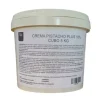 Crema de pistacho 18% 5 kg - Azucren