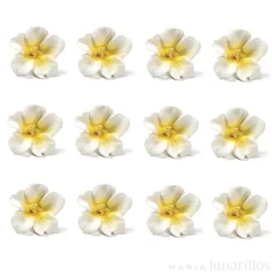 Flores Azaleas blancas y amarillas de azúcar 3 cm (12) - Decora