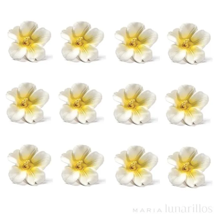 Flores Azaleas blancas y amarillas de azúcar 3 cm (12) - Decora