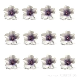 Flores Azaleas blancas y violetas de azúcar 5 cm (12) - Decora