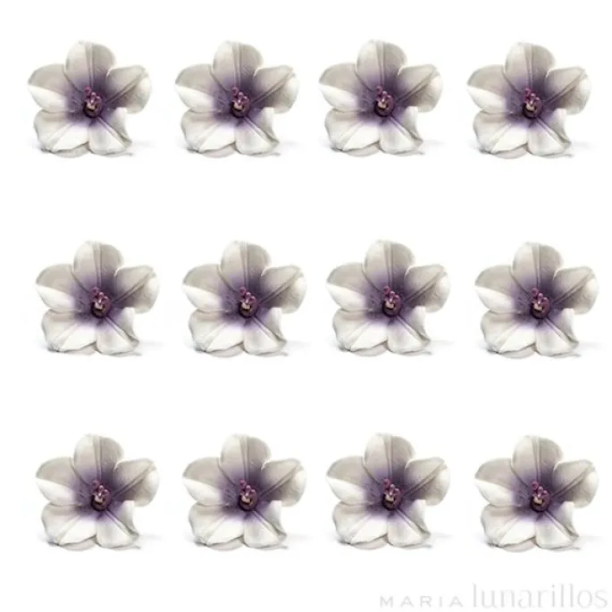 Flores Azaleas blancas y violetas de azúcar 5 cm (12) - Decora