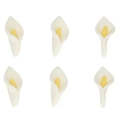 Flores de azúcar calas blancas (24) - Funcakes