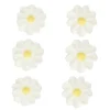 Flores de azúcar margaritas 2,3 cm (16) - Funcakes