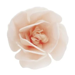 Flores de oblea magnolias blancas con tonos pastel 7 cm (6) - Sin gluten - Dekora