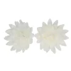 Flores de oblea áster blancas 5,5 cm (14) - Funcakes