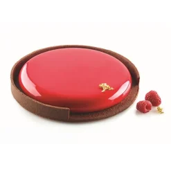 Kit Tarte Ring 19 cm - Silikomart Professional