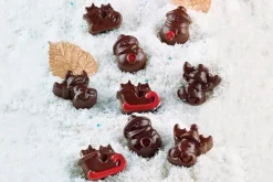 Molde bombones Invierno - Silikomart