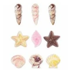 Molde conchas marinas para candy melts - Wilton
