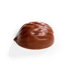 Molde de policarbonato para 18 bombones Nueces - Martellato
