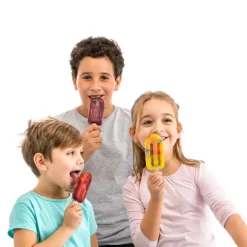 Moldes helados apilables Classic grandes (4) - Lékué