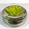 Molde silicona para fondant flores - Katy Sue Designs