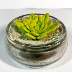Molde silicona para fondant flores - Katy Sue Designs