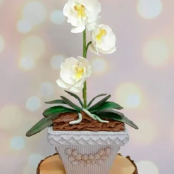 Molde silicona para fondant líneas verticales - Marvelous
