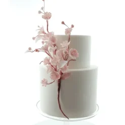 Moldes silicona para fondant flores frutales (2) - Katy Sue Designs