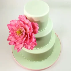 Moldes silicona para fondant peonias y tulipanes (2) - Katy Sue Designs