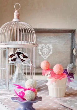 Molde y palitos para 16 cake pops Wonder Pops - Silikomart