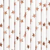 Pajitas de papel estrellas bronce metalizadas (10) - PartyDeco