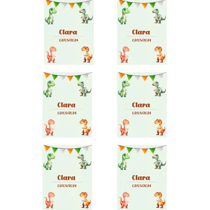 Papel de azúcar con nombre y fecha personalizada - Dinosaurios 6 x 8 cm (6) - Impresión comestible personalizada