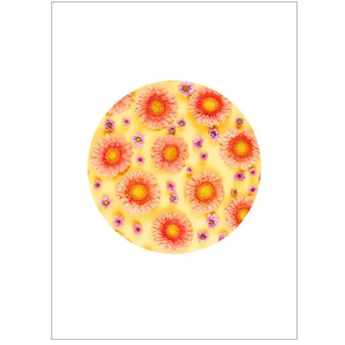 Papel de azúcar - Círculo de 15 cm - Impresión comestible personalizada
