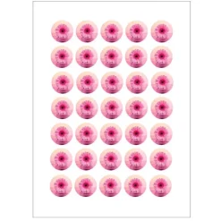 Papel de azúcar - 35 fotos iguales en Círculos de 3 cm - Impresión comestible personalizada
