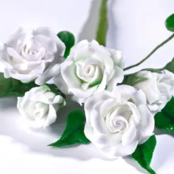 Pasta de flores y modelado blanca 250 g - Renshaw