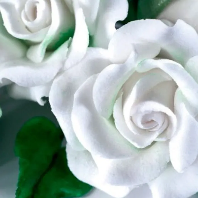 Pasta de flores y modelado blanca 250 g - Renshaw