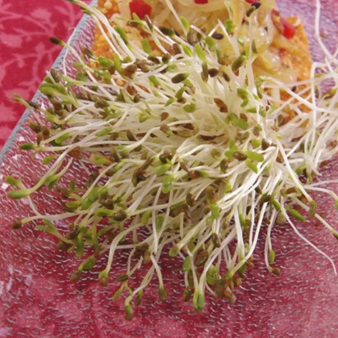 Semillas de alfalfa para germinar ecológicas 120 gr - Sonnentor