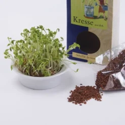 Semillas de berro para germinar ecológicas 120 gr - Sonnentor