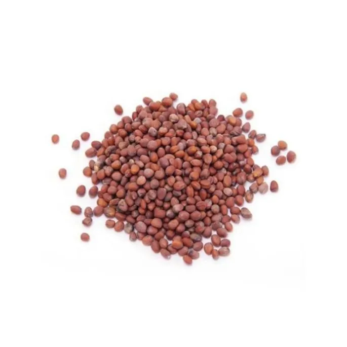 Semillas de rábano para germinar ecológicas 120 gr - Sonnentor
