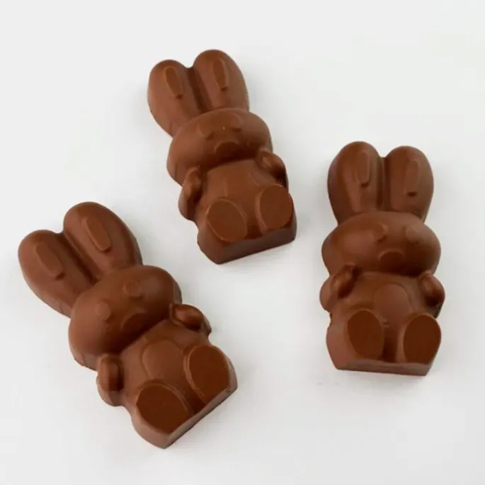 Set de moldes para chocolate 5 conejos de Pascua