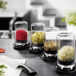 Tarro de cristal para germinar semillas - Acero inoxidable - Gefu