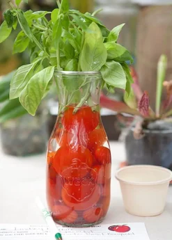Tarro Juice 1/2 litro - Weck