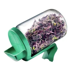 Tarro para germinar semillas con soporte - Cristal - Germline
