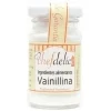 Vainillina en polvo 25 g - Sin gluten - Chefdelíce