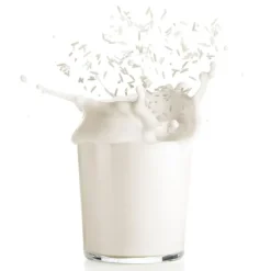 Veggie Drinks Maker para leche vegetal - Polipropileno (sin BPA) - Lékué